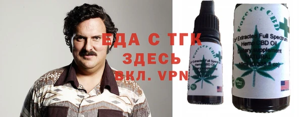 гашик Шали