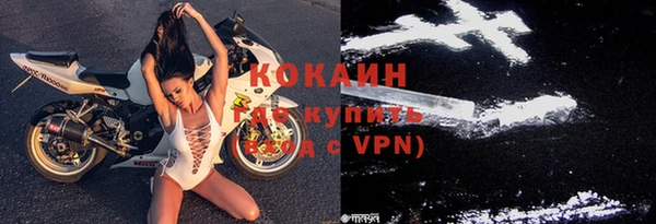 прущие грибы Мегион