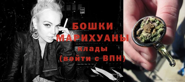 гашик Шали
