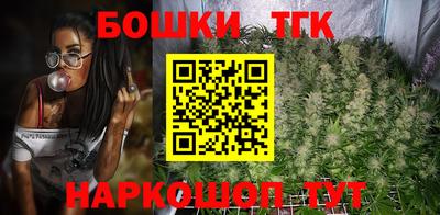 индика Балахна