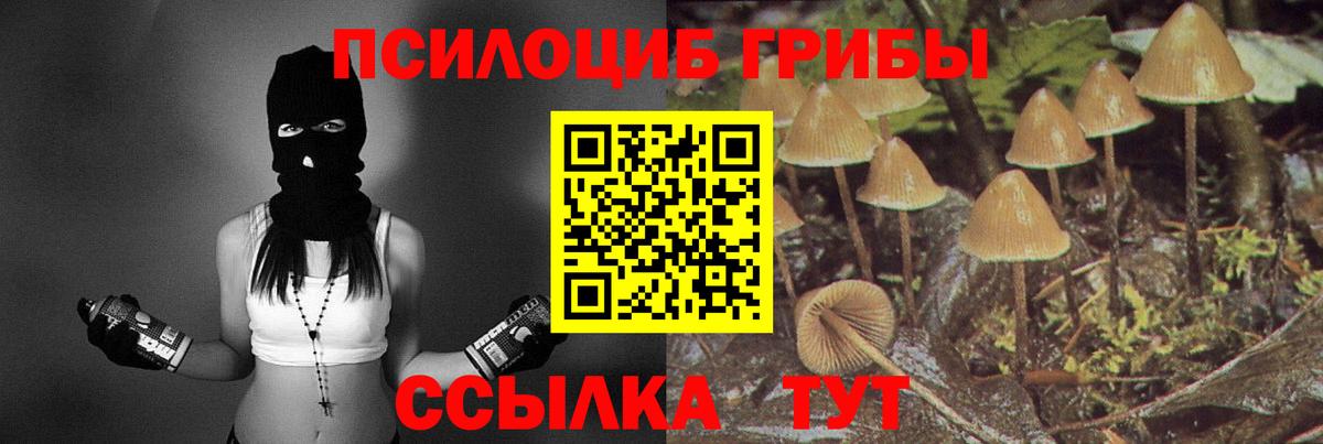 Нурлат  Галлюциногенные грибы MAGIC MUSHROOMS  Псилоцибиновые грибы GOLDEN TEACHER  Вход с VPN 