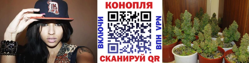 Марихуана White Widow Нурлат